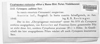 Image Associated With the Occurence
